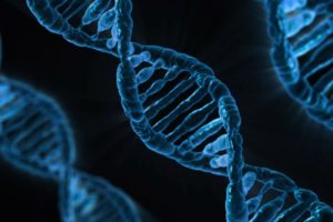 La IA intenta diseñar ADN… pero todavía no entiende todo lo que crea